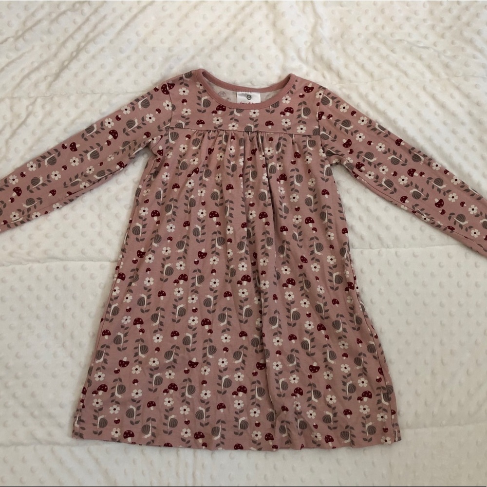 Size 120 (size 5) Hanna andersson dress
